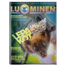 Luominen-lehti numero 38 Luominen-lehti numero 38