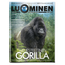 Luominen-lehti numero 39 Luominen-lehti numero 39