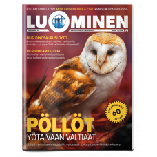 Luominen-lehti numero 40 Luominen-lehti numero 40