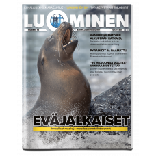 Luominen-lehti numero 42 Luominen-lehti numero 42