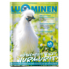 Luominen-lehti numero 45 Luominen-lehti numero 45