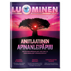 Luominen-lehti numero 48 Luominen-lehti numero 48
