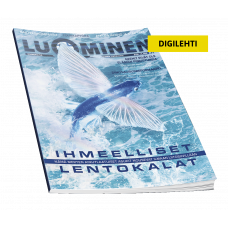 Luominen-digilehti numero 53 Luominen-digilehti numero 53