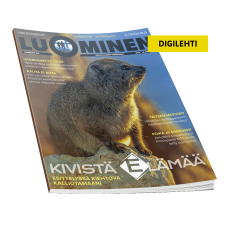 Luominen-digilehti numero 56 Luominen-digilehti numero 56