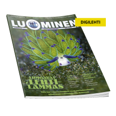 Luominen-digilehti numero 58 Luominen-digilehti numero 58