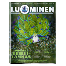 Luominen-lehti numero 58 Luominen-lehti numero 58
