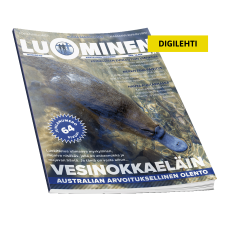 Luominen-digilehti numero 60