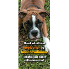 Monet sekoittavat evoluution ja luonnonvalinnan. Tiedätkö sinä niiden välisestä erosta?