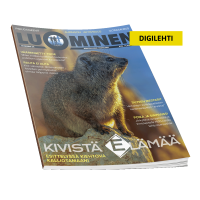 Luominen-digilehti numero 56