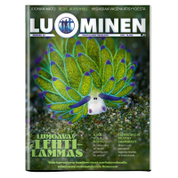 Luominen-lehti numero 58