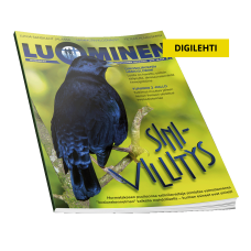 Luominen-digilehti numero 61 Luominen-digilehti numero 61